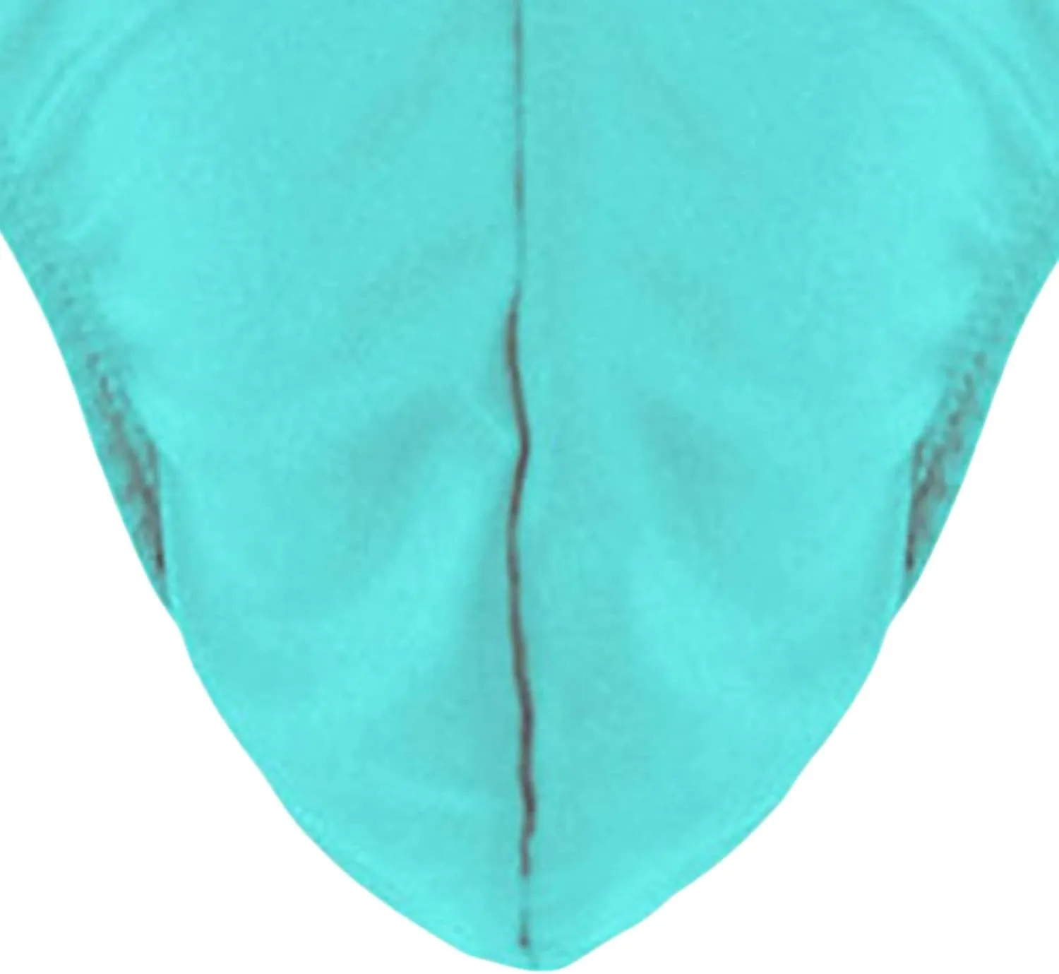 JEsilunmaMY Mens Underwear Low Rise Bulge Pouch Backless T-Back Bikini Briefs Solid Color Hollow Out G-String Underpants